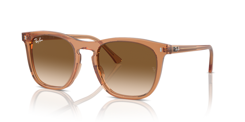 Ray-Ban RB2210 in Transparent Brown / Clear & Brown (676451) - Alternate View
