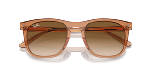 Transparent Brown / Clear & Brown (676451)
