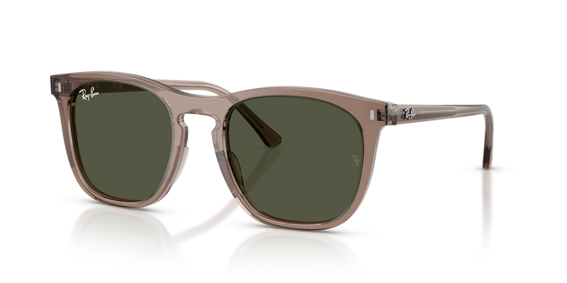 Ray-Ban RB2210 in Transparent Light Brown / Green (845731) - Alternate View