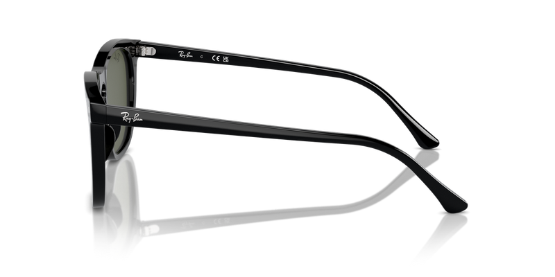 Ray-Ban RB2210 in Black / Green (901/31) - Alternate View