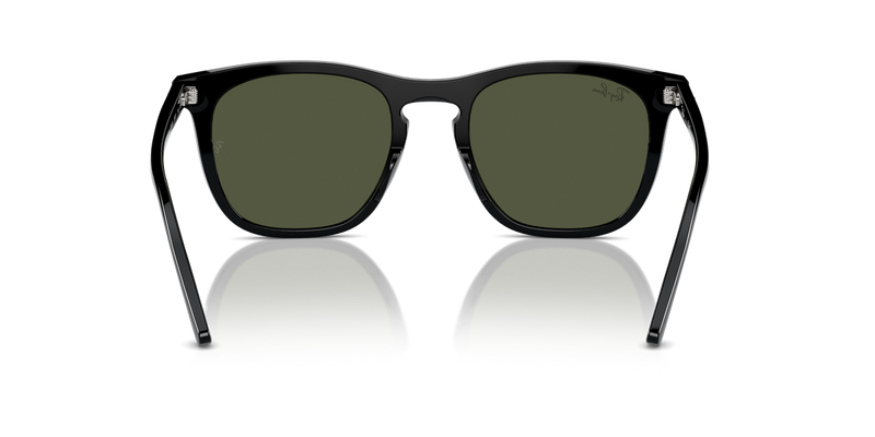 Ray-Ban RB2210 in Black / Green (901/31) - Alternate View