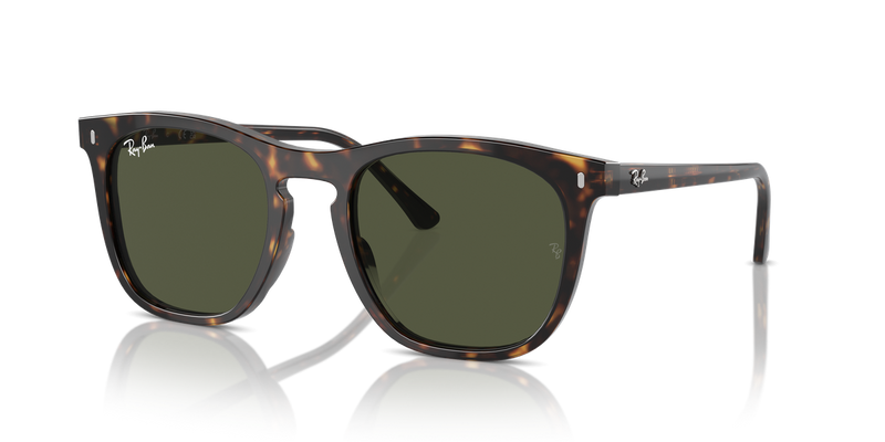 Ray-Ban RB2210 in Havana / Green (902/31) - Alternate View