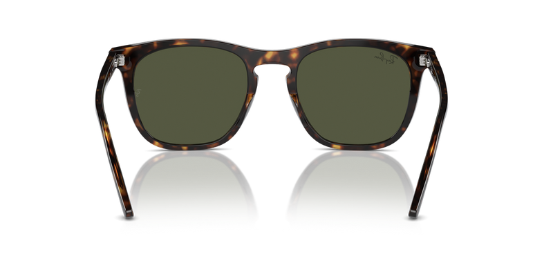 Ray-Ban RB2210 in Havana / Green (902/31) - Alternate View