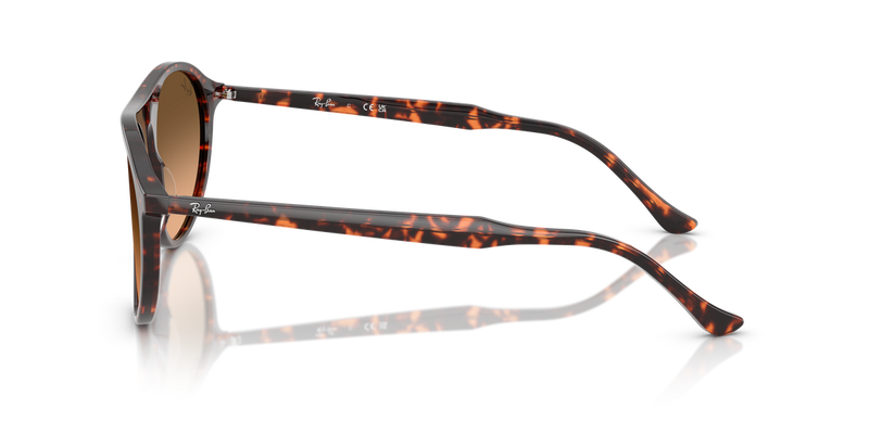 Ray-Ban RB2215F in Havana Red Turtle - Back View