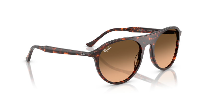 Ray-Ban RB2215F in Havana Red Turtle - Alternate View
