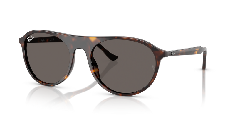 Ray-Ban RB2215F in Havana - Alternate View