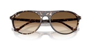 Havana Yellow Turtle / Clear Gradient Brown (143151)
