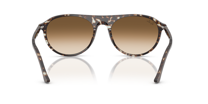 Ray-Ban RB2215 in Havana Yellow Turtle - Alternate View