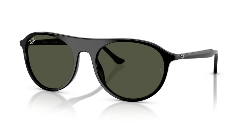 Ray-Ban RB2215 in Black - Alternate View