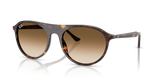 Havana / Clear Gradient Brown (902/51)