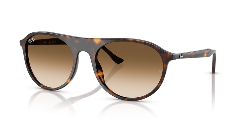 Ray-Ban RB2215 in Havana - Alternate View