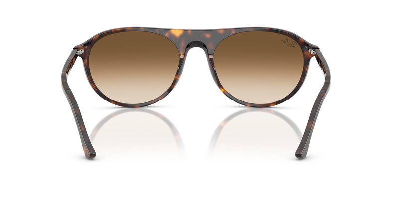 Ray-Ban RB2215 in Havana - Alternate View