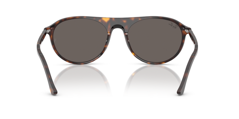 Ray-Ban RB2215 in Havana - Alternate View