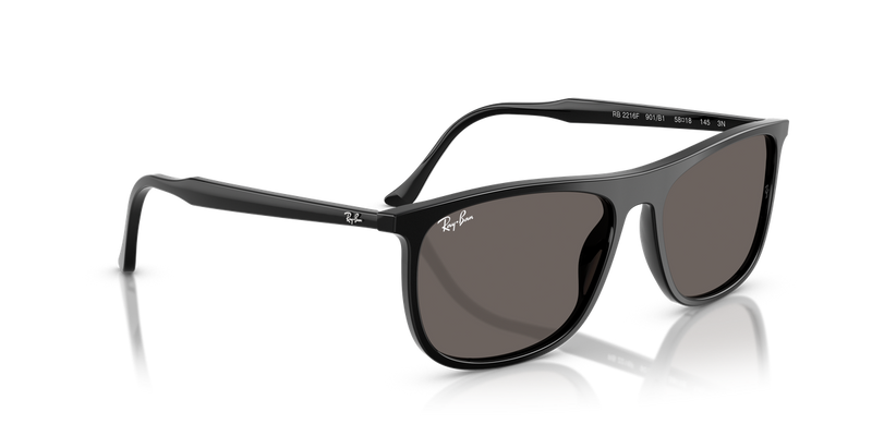 Ray-Ban RB2216F in Black - Alternate View
