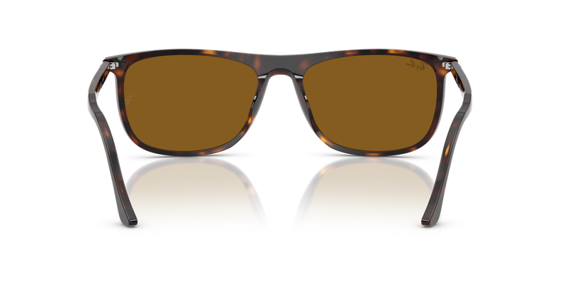 Ray-Ban RB2216F in Havana - Alternate View