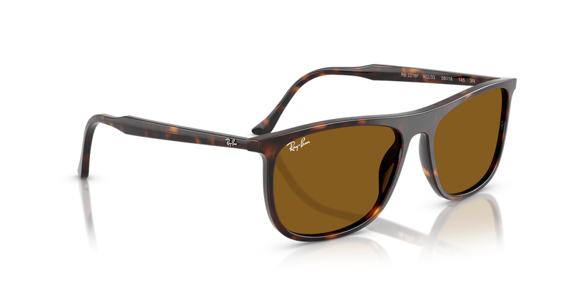 Ray-Ban RB2216F in Havana - Alternate View