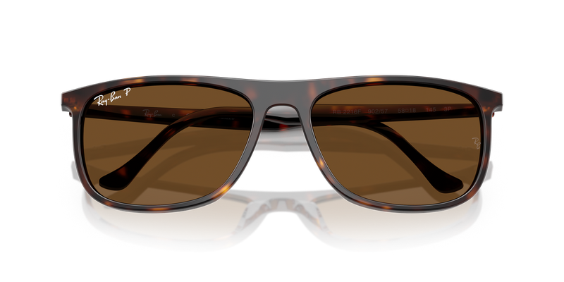 Ray-Ban RB2216F in Havana - Alternate View