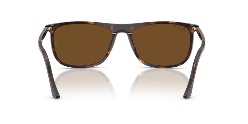 Ray-Ban RB2216F in Havana - Alternate View