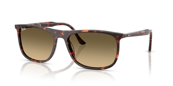 Ray-Ban RB2216