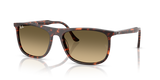 Havana Red Turtle / Brown Vintage Gradient Black (14290A)