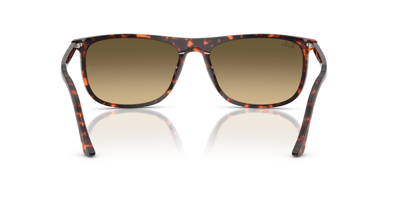 Ray-Ban RB2216 in Havana Red Turtle - Temple Detail