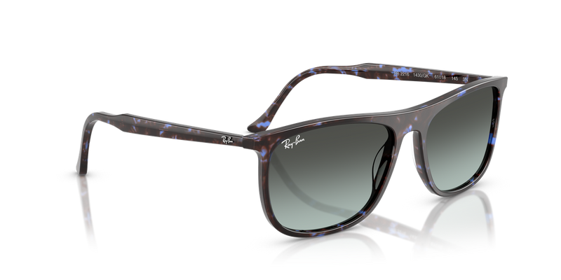 Ray-Ban RB2216 in Havana Blue Turtle - Alternate View
