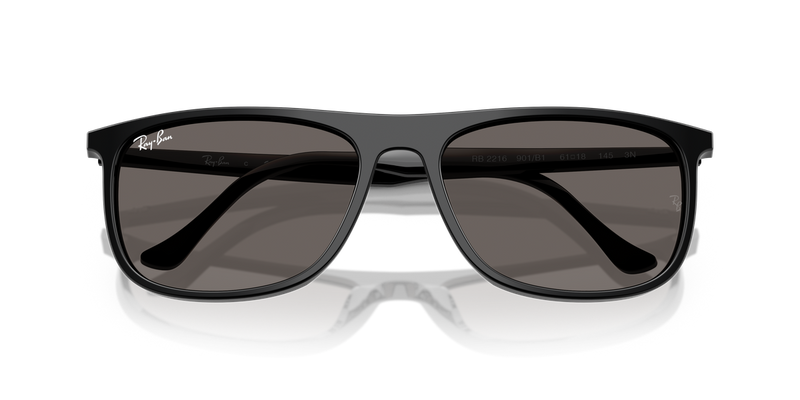 Ray-Ban RB2216 in Black - Alternate View