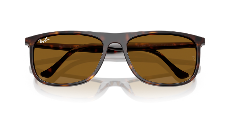 Ray-Ban RB2216 in Havana - Alternate View