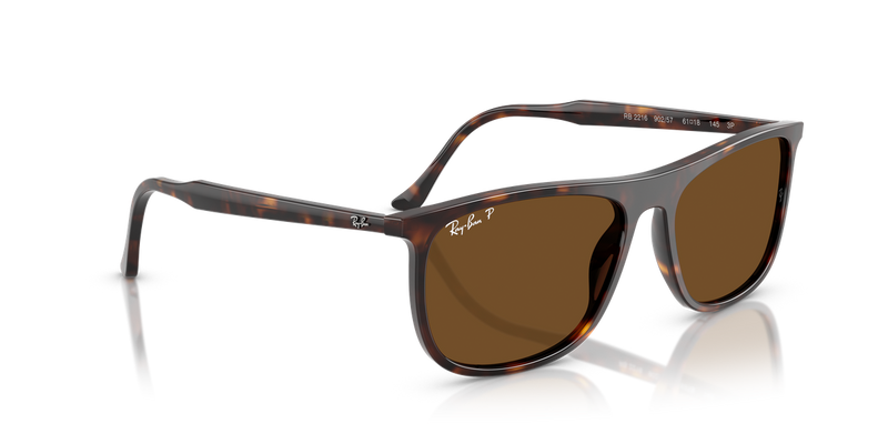 Ray-Ban RB2216 in Havana - Alternate View