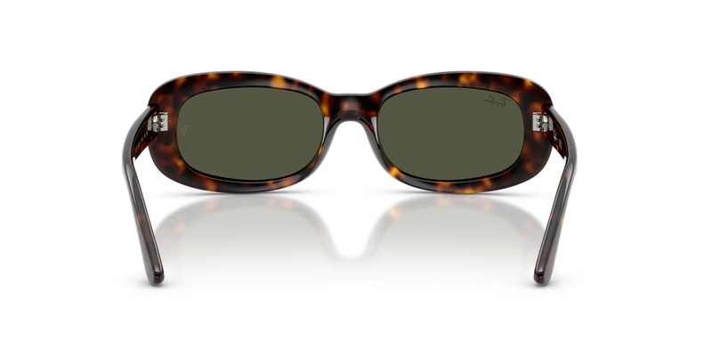 Ray-Ban RB2221F in Havana - Alternate View