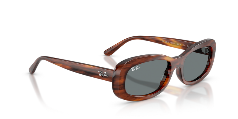 Ray-Ban RB2221F in Striped Havana - Alternate View