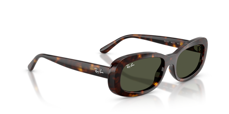 Ray-Ban RB2221 in Havana / Green (902/31) - Alternate View