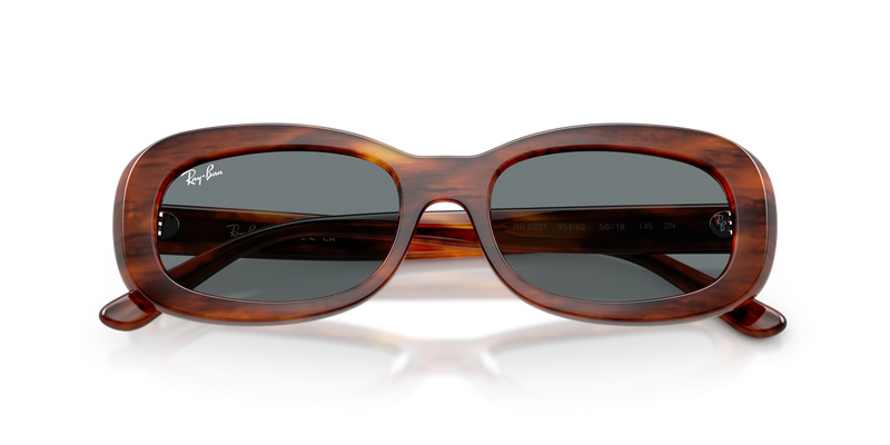 Ray-Ban RB2221 in Striped Havana / Blue (954/62) - Alternate View