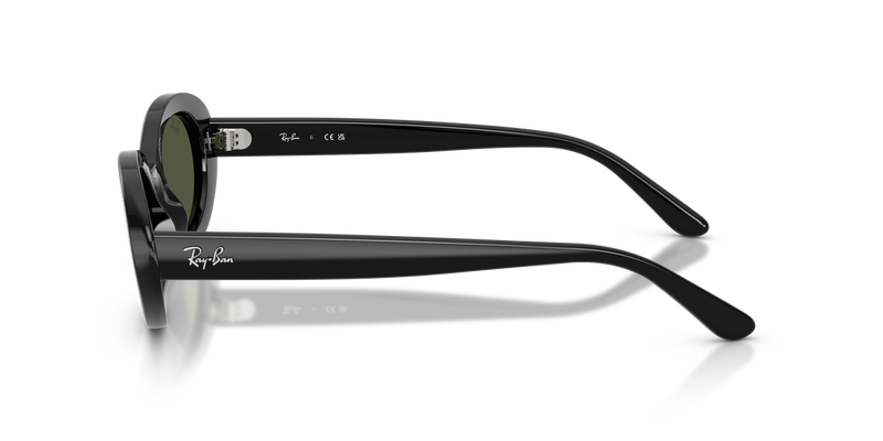 Ray-Ban RB2223F in Black - Alternate View