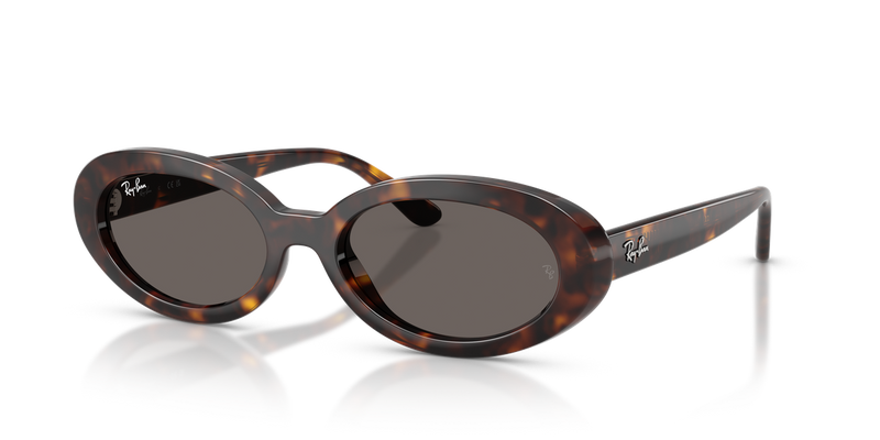 Ray-Ban RB2223F in Havana - Alternate View