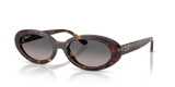 Havana / Grey Gradient Polarized (902/M3)