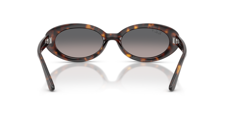 Ray-Ban RB2223F in Havana - Alternate View