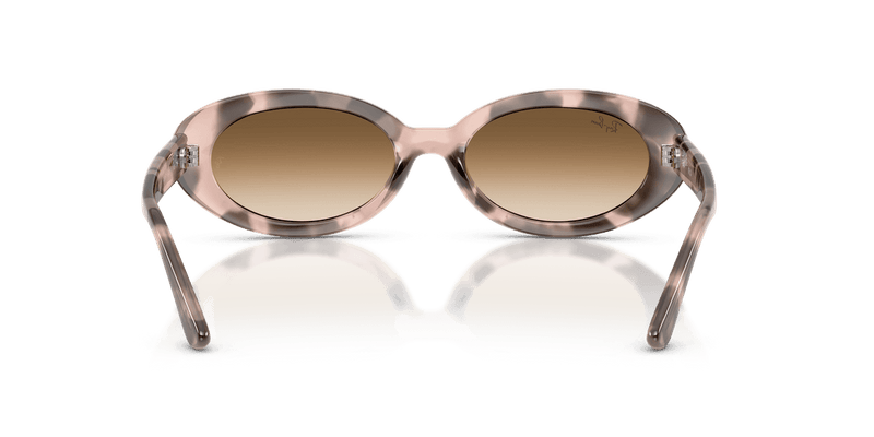 Ray-Ban RB2223 in Opal Pink Havana / Clear Gradient Brown (144951) - Alternate View
