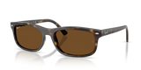 Havana / Polarized Brown (710/57)
