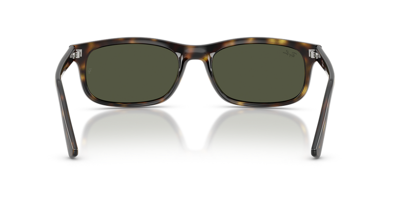 Ray-Ban RB2224 in Havana / Green (710/31) - Alternate View