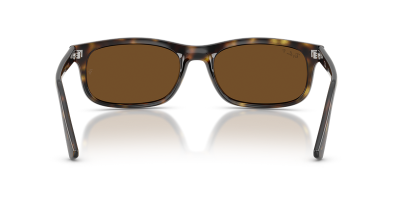 Ray-Ban RB2224 in Havana / Polarized Brown (710/57) - Alternate View