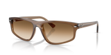Transparent Light Brown / Clear Gradient Brown (664051)