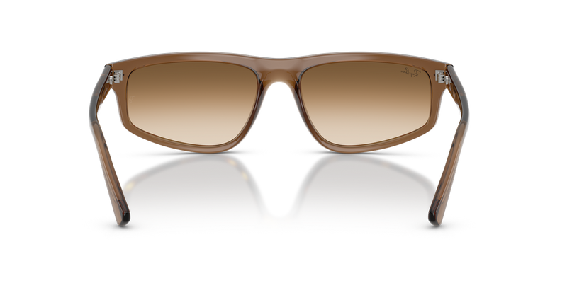 Ray-Ban RB2225 in Transparent Light Brown / Clear Gradient Brown (664051) - Temple Detail