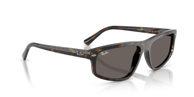 Ray-Ban RB2225 in Havana / Dark Grey (710/B1) - Alternate View