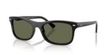 Black / Green Polarized (601/58)