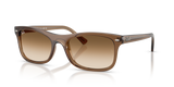 Transparent Light Brown / Clear Gradient Brown (664051)