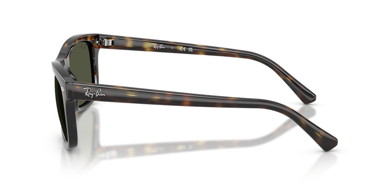 Ray-Ban RB2226 in Havana / Green (710/31) - Alternate View