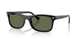 Black / Green Polarized (901/58)
