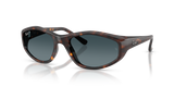 Havana / Polarized Light Blue Gradient (710/S3)