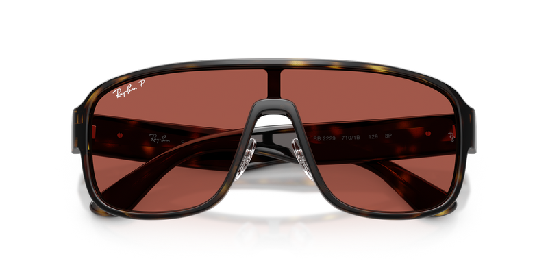 Ray-Ban RB2229 in Havana - Alternate View